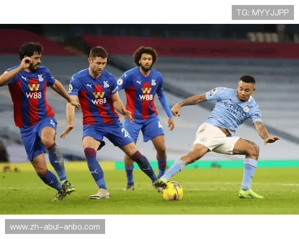 英超水晶宫队主教练的领导力与球队策略